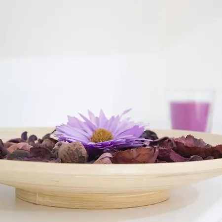 Sao Paulo Penthouse Duplex With Amazing View Lägenhet *