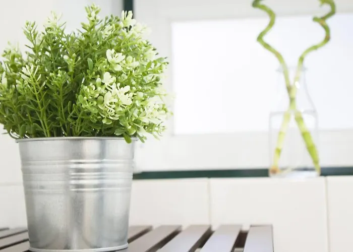 Sao Paulo Penthouse Duplex With Amazing View Apartment